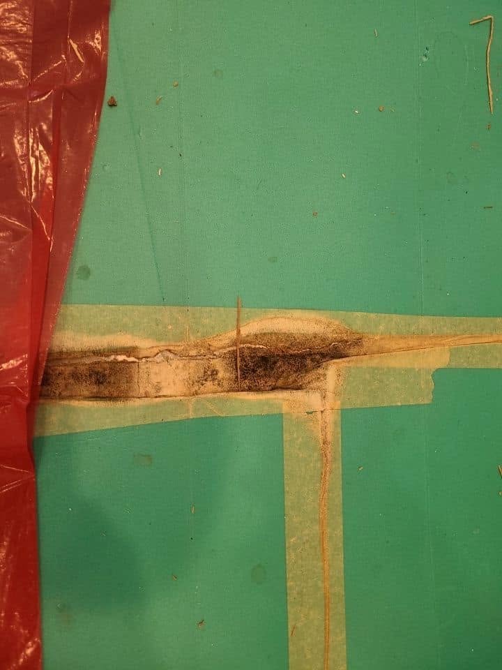 Mold growth visible on green moisture barrier drywall during remediation inspection