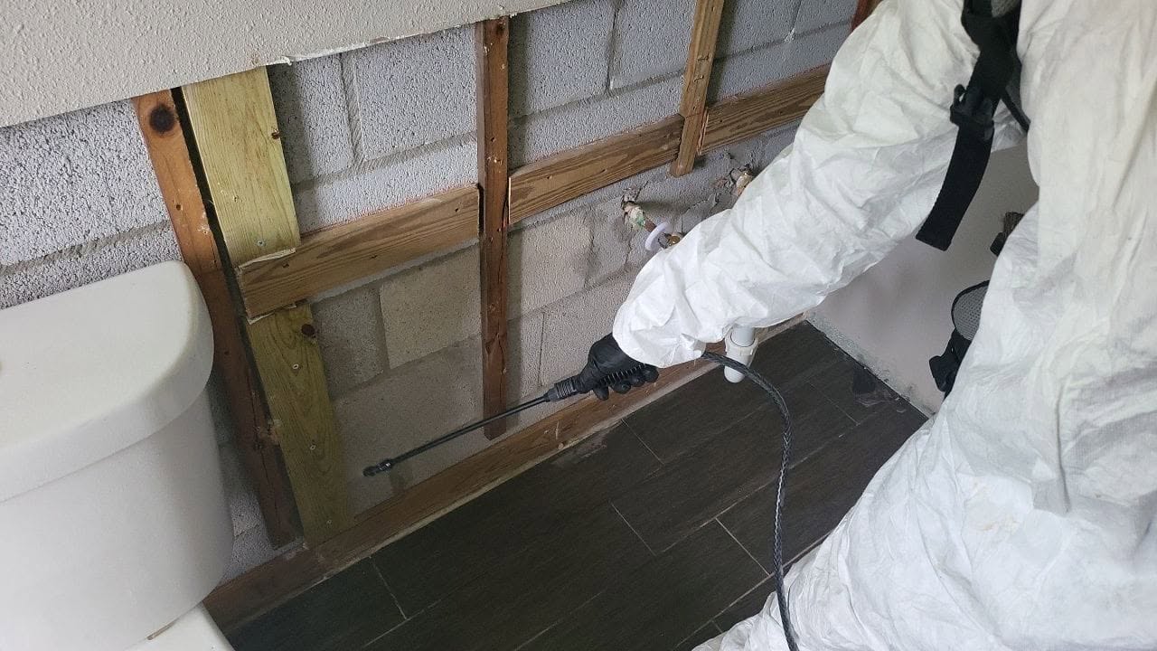 Mold remediation technician in Tyvek suit spraying antimicrobial treatment on exposed wall framing