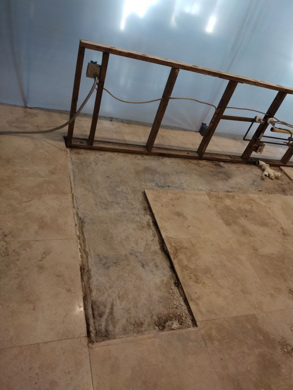 Removed wall section revealing heavy black mold and moisture staining on concrete block during mold discovery